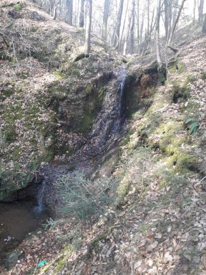 Kliknite za ogled večje slike