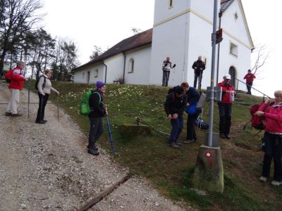 Kliknite za ogled večje slike