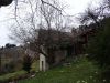 DSC07020.JPG