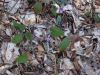DSC07136.JPG