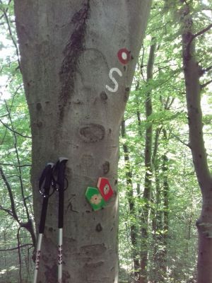 Kliknite za ogled večje slike