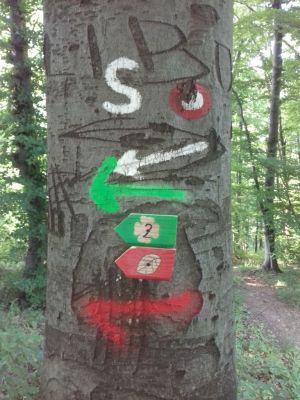 Kliknite za ogled večje slike