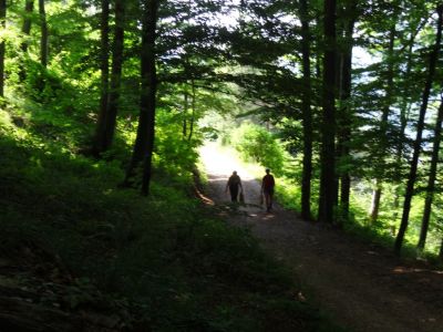 Kliknite za ogled večje slike