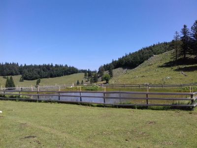 Kliknite za ogled večje slike