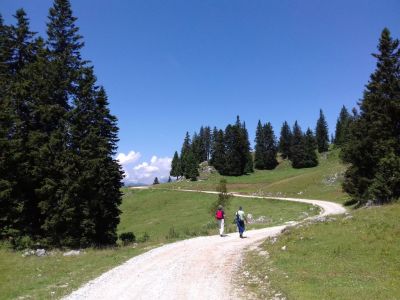 Kliknite za ogled večje slike