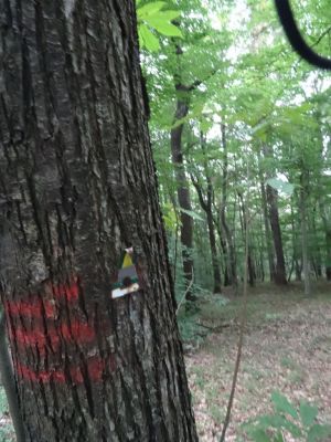Kliknite za ogled večje slike