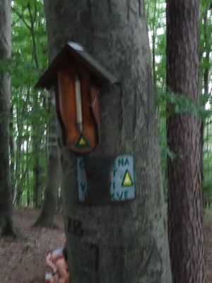 Kliknite za ogled večje slike