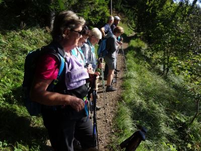 Kliknite za ogled večje slike