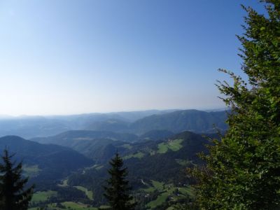 Kliknite za ogled večje slike