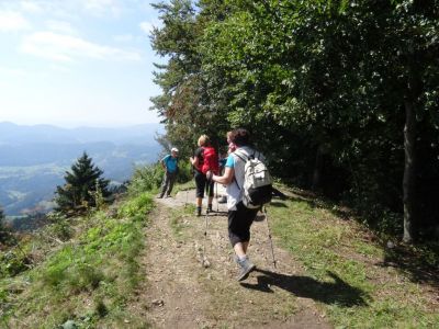 Kliknite za ogled večje slike