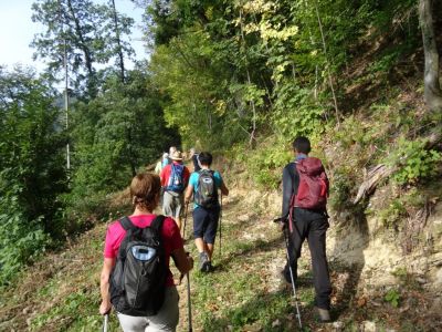 Kliknite za ogled večje slike