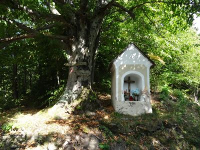 Kliknite za ogled večje slike