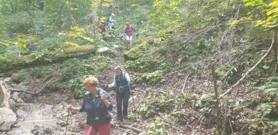 Kliknite za ogled večje slike