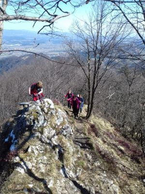 Kliknite za ogled večje slike