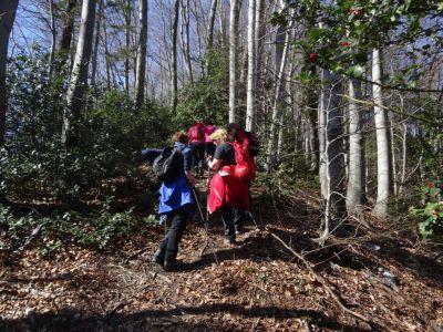 Kliknite za ogled večje slike