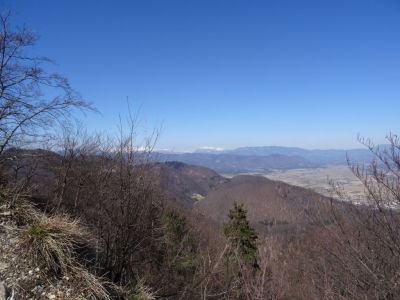 Kliknite za ogled večje slike