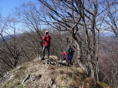 Kliknite za ogled večje slike