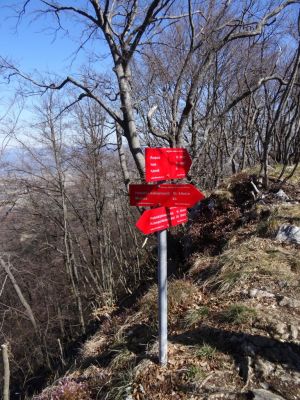 Kliknite za ogled večje slike