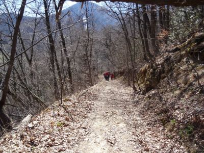 Kliknite za ogled večje slike