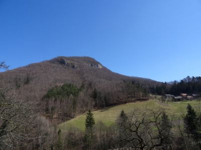 Kliknite za ogled večje slike