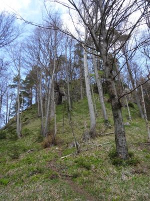 Kliknite za ogled večje slike