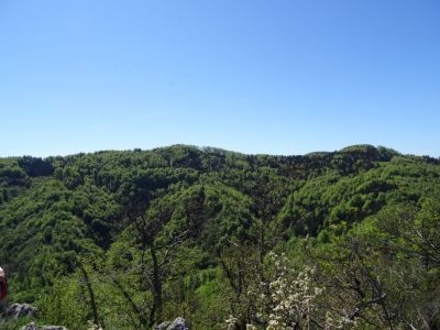 Kliknite za ogled večje slike