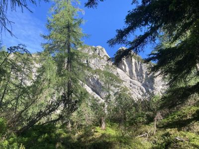 Kliknite za ogled večje slike