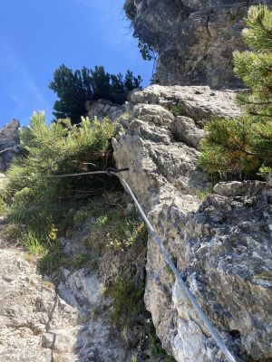 Kliknite za ogled večje slike