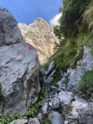 Kliknite za ogled večje slike