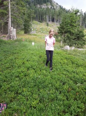 Kliknite za ogled večje slike