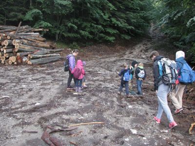 Kliknite za ogled večje slike