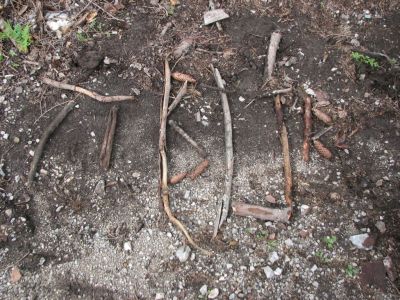 Kliknite za ogled večje slike
