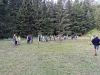 IMG_20210805_163150.jpg
