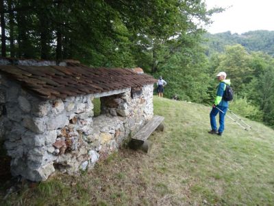 Kliknite za ogled večje slike