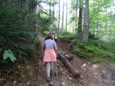 Kliknite za ogled večje slike