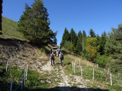 Kliknite za ogled večje slike