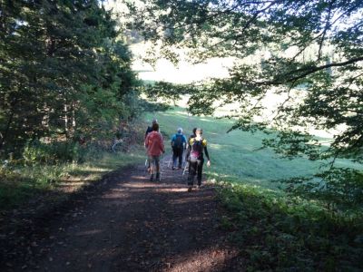 Kliknite za ogled večje slike