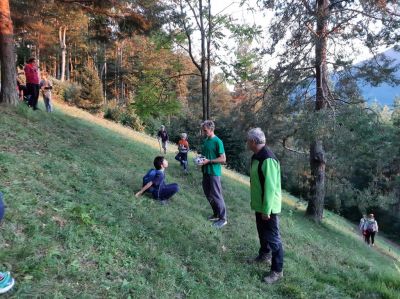 Kliknite za ogled večje slike