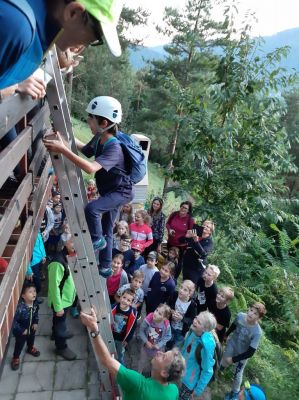 Kliknite za ogled večje slike