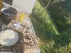 IMG_20210924_173156.jpg