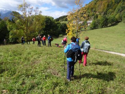 Kliknite za ogled večje slike