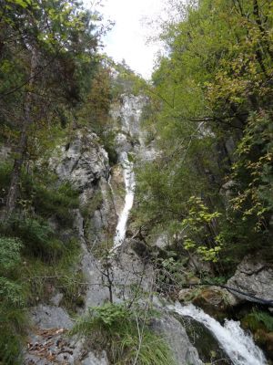 Kliknite za ogled večje slike
