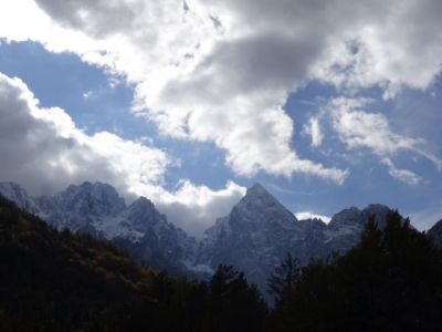 Kliknite za ogled večje slike