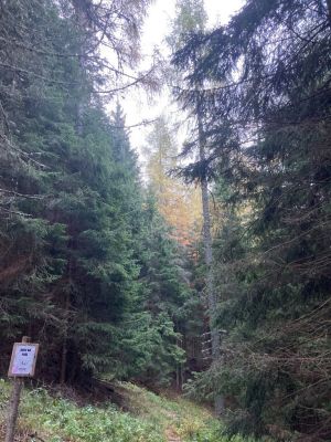 Kliknite za ogled večje slike