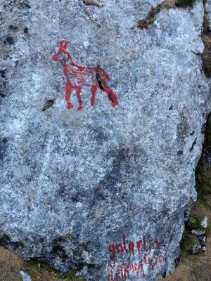 Kliknite za ogled večje slike