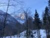 IMG_4492.jpg