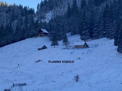 Kliknite za ogled večje slike