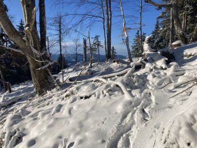 Kliknite za ogled večje slike