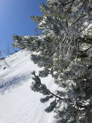Kliknite za ogled večje slike