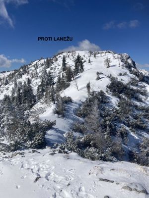Kliknite za ogled večje slike